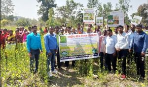  महासमुंद : तिलहन उत्पादन के लिए किसान संगोष्ठी का किया गया आयोजन