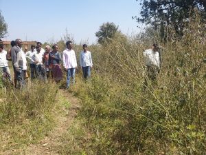  सूरजपुर : राज्य शासन के निर्देषों पर जिले में ओलावृष्टि से हुई फसलों का किया जा रहा सर्वे कार्य