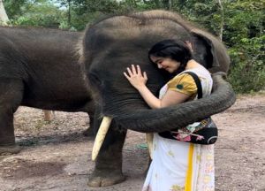हाथियों को नहलाना मेरे पूरे शरीर का वर्कआउट है-अदा शर्मा
