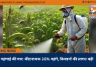 महंगाई की मार: कीटनाशक 30% महंगे, किसानों की लागत बढ़ी