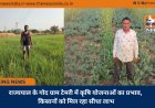 राज्यपाल के गोद ग्राम टेमरी में कृषि योजनाओं का प्रभाव, किसानों को मिल रहा सीधा लाभ