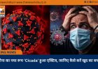 कोरोना का नया रूप ‘Cicada’ हुआ एक्टिव, जानिए कैसे करें खुद का बचाव