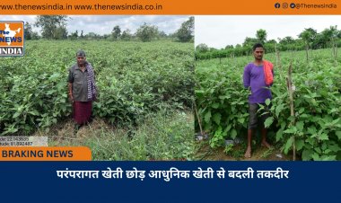 परंपरागत खेती छोड़ आधुनिक खेती से बदली तकदीर