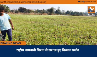 राष्ट्रीय बागवानी मिशन से सशक्त हुए किसान प्रमोद