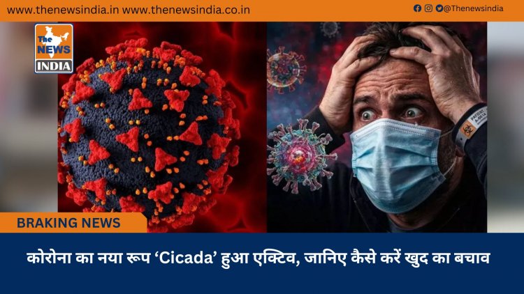 कोरोना का नया रूप ‘Cicada’ हुआ एक्टिव, जानिए कैसे करें खुद का बचाव