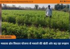 मसाला क्षेत्र विस्तार योजना से मसाले की खेती ओर बढ़ रहा रूझान