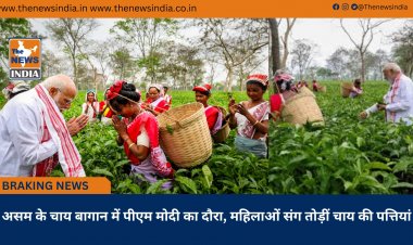असम के चाय बागान में पीएम मोदी का दौरा, महिलाओं संग तोड़ीं चाय की पत्तियां