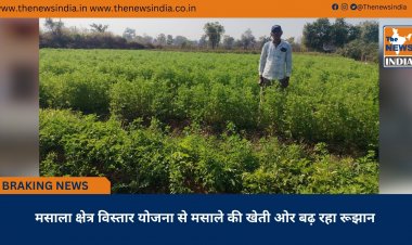 मसाला क्षेत्र विस्तार योजना से मसाले की खेती ओर बढ़ रहा रूझान