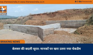 बेलसर की बदली सूरत: मानकों पर खरा उतरा नया चेकडैम
