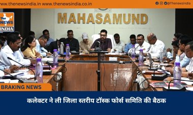 कलेक्टर ने ली जिला स्तरीय टॉस्क फोर्स समिति की बैठक