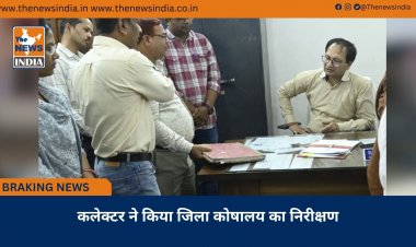 कलेक्टर ने किया जिला कोषालय का निरीक्षण