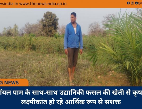 ऑयल पाम के साथ-साथ उद्यानिकी फसल की खेती से कृषक लक्ष्मीकांत हो रहे आर्थिक रूप से सशक्त