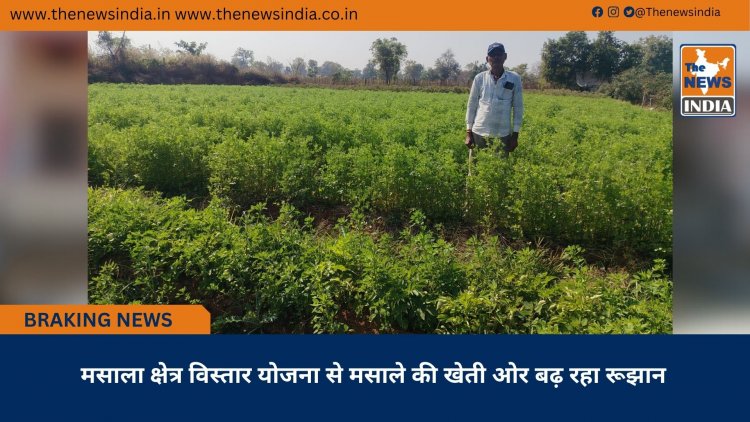 मसाला क्षेत्र विस्तार योजना से मसाले की खेती ओर बढ़ रहा रूझान