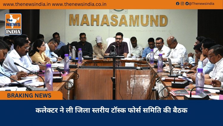 कलेक्टर ने ली जिला स्तरीय टॉस्क फोर्स समिति की बैठक