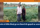 मनरेगा से निर्मित सिंचाई कूप बना किसानों की खुशहाली का आधार