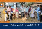 मोबाइल पशु चिकित्सा इकाई बनी पशुपालकों की संजीवनी