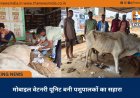 मोबाइल वेटनरी यूनिट बनी पशुपालकों का सहारा