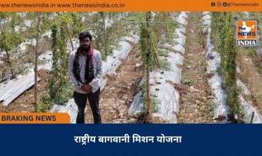 राष्ट्रीय बागवानी मिशन योजना 