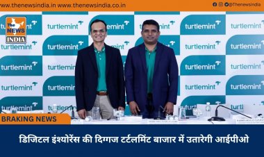 डिजिटल इंश्योरेंस की दिग्गज टर्टलमिंट बाजार में उतारेगी आईपीओ