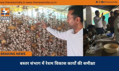 बस्तर संभाग में रेशम विकास कार्यों की समीक्षा
