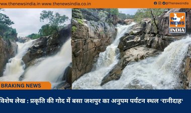 विशेष लेख : प्रकृति की गोद में बसा जशपुर का अनुपम पर्यटन स्थल ‘रानीदाह‘