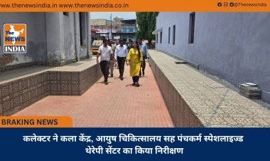 कलेक्टर ने कला केंद्र, आयुष चिकित्सालय सह पंचकर्म स्पेशलाइज्ड थेरेपी सेंटर का किया निरीक्षण
