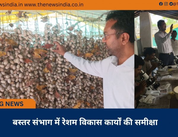 बस्तर संभाग में रेशम विकास कार्यों की समीक्षा