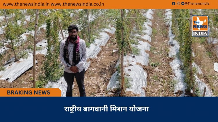 राष्ट्रीय बागवानी मिशन योजना 