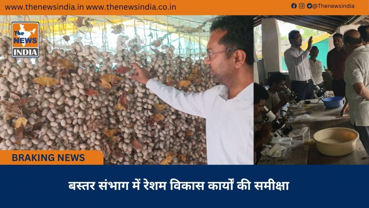 बस्तर संभाग में रेशम विकास कार्यों की समीक्षा