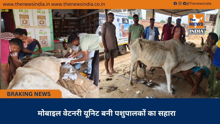 मोबाइल वेटनरी यूनिट बनी पशुपालकों का सहारा