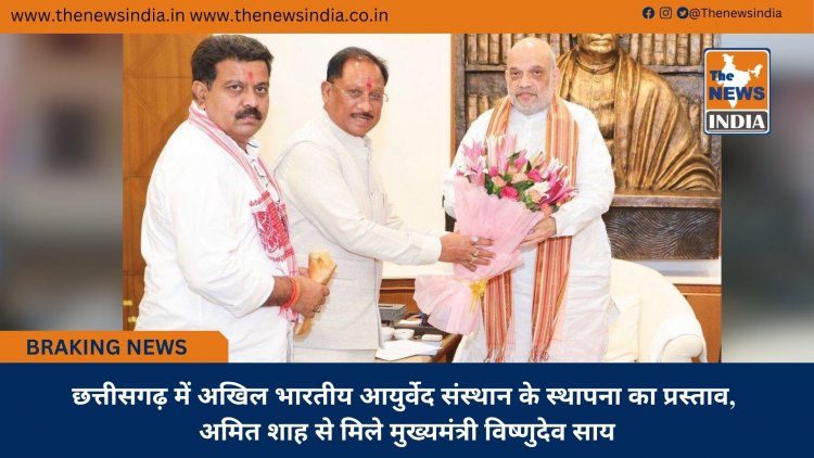 छत्तीसगढ़ में अखिल भारतीय आयुर्वेद संस्थान के स्थापना का प्रस्ताव, अमित शाह से मिले मुख्यमंत्री विष्णुदेव साय