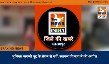 भूमिगत जंगली पुटू के सेवन से बचें, स्वास्थ्य विभाग ने की अपील