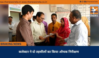 कलेक्टर ने दो तहसीलों का किया औचक निरीक्षण