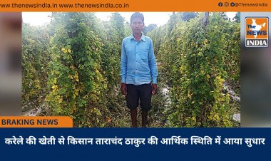 करेले की खेती से किसान ताराचंद ठाकुर की आर्थिक स्थिति में आया सुधार