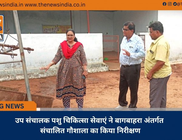 उप संचालक पशु चिकित्सा सेवाएं ने बागबाहरा अंतर्गत संचालित गौशाला का किया निरीक्षण