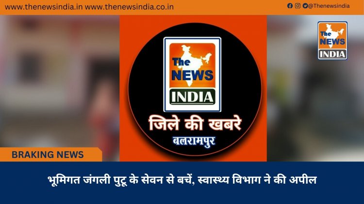 भूमिगत जंगली पुटू के सेवन से बचें, स्वास्थ्य विभाग ने की अपील