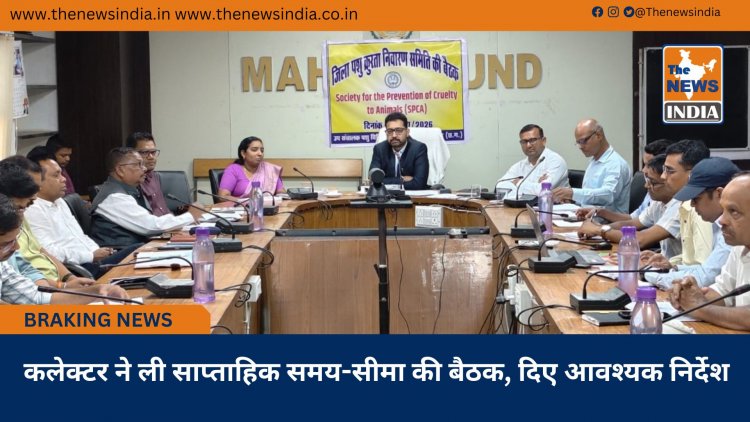 कलेक्टर ने ली साप्ताहिक समय-सीमा की बैठक, दिए आवश्यक निर्देश