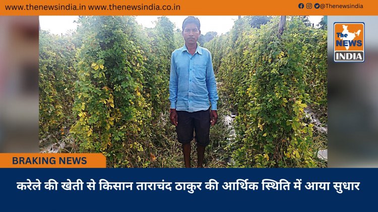 करेले की खेती से किसान ताराचंद ठाकुर की आर्थिक स्थिति में आया सुधार