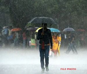  निसर्ग का असर : मध्य प्रदेश के 20 से ज्यादा जिलों में बारिश, महाराष्ट्र में भी बारिश 