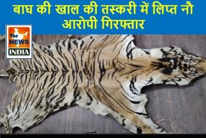 वन विभाग को मिली बड़ी कामयाबी, बाघ की खाल की तस्करी में लिप्त नौ आरोपी गिरफ्तार 