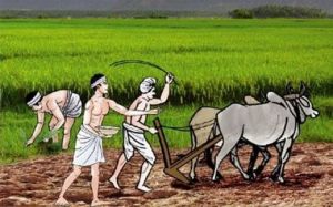  वित्‍त मंत्री निर्मला सीतारमण ने बजट 2020-21 में किसानों को बड़ा तोहफा,मिलेगा 16.5 लाख करोड़ का कृषि लोन 