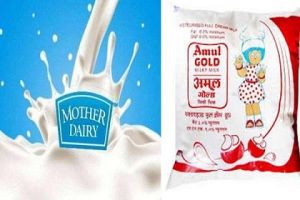  अमूल के बाद  मदर डेयरी का दूध 2 रुपये लीटर महंगा हुआ, कल से दिल्ली-एनसीआर में लागू होगा नया रेट