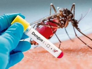  यूपी में डेंगू-वायरल से अब तक 100 से ज्यादा मरीजों ने दम तोड़ा...